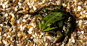 Foto: Stadt Reutlingen