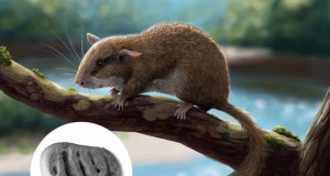 Foto: Universit&auml;t T&uuml;bingen