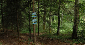 Foto: RTF.1