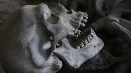 Sch&auml;del Homo Sapiens Sapiens (Jetztmensch) (Quelle: Pixabay.de)