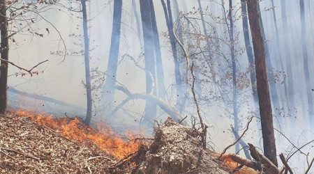 Waldbrand Urach Kunstm&uuml;hlefels (Quelle: Feuerwehr Bad Urach)