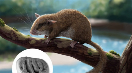 Foto: Universit&auml;t T&uuml;bingen