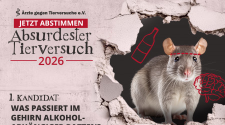 Flyer Absurdester Tierversuch 2026 (Quelle: &Auml;rzte gegen Tierversuche)