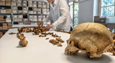 Anthropologische Untersuchung eines Skeletts vom fr&uuml;hmittelalterlichen Fundplatz Altheim bei Landshut an der Staatsammlung f&uuml;r Anthropologie M&uuml;nchen (SAM) (Quelle: Foto/?: Harbeck/SAM)