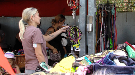 Riesenflohmarkt im Tierheim Reutlingen (Quelle: BWeins)
