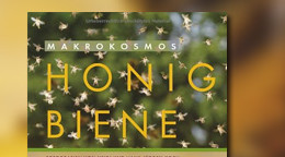Makrokosmos Honigbiene Makrokosmos Honigbiene